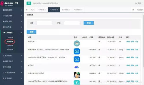 Jeecg首個(gè)開源插件CMS網(wǎng)站插件1.0正式發(fā)布